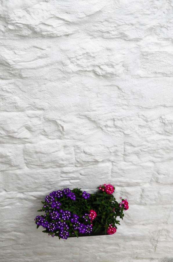 A Sud Holiday House Polignano a Mare Exterior photo